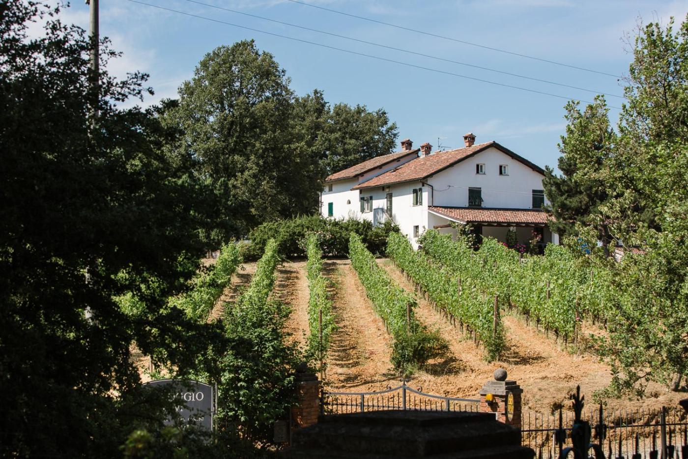 B&B Il Poggio Di Gavi Kültér fotó